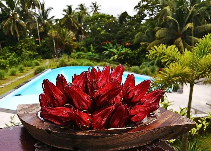 Antagana Retreat Alojamento de Turismo Selvagem Selemadeg (Bali)